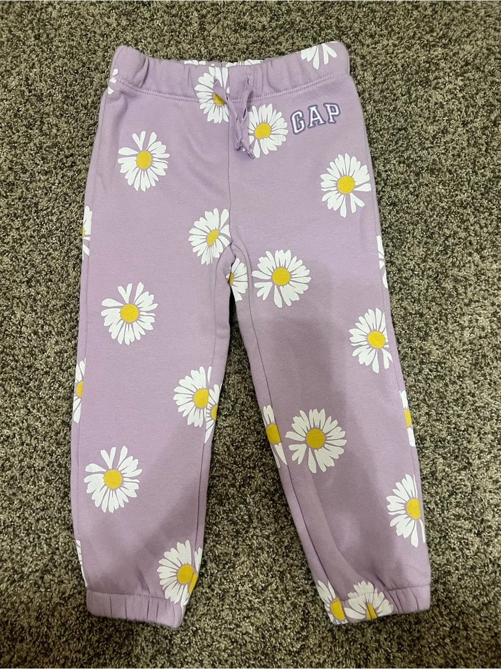 Gap Sweatsuit Set